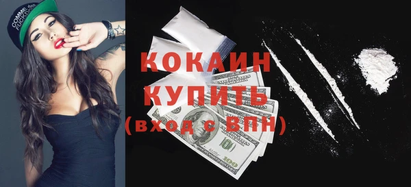 шишки Балахна