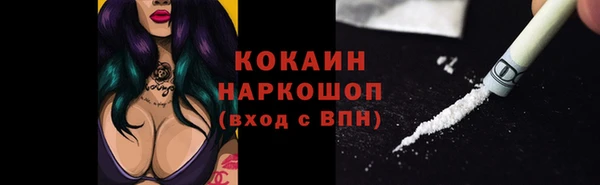 шишки Балахна