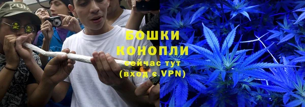 шишки Балахна