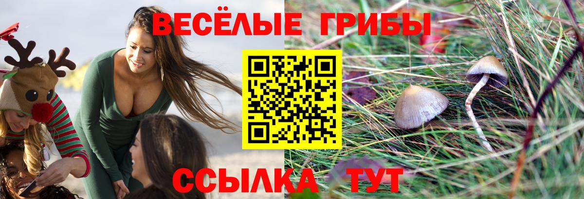 Галлюциногенные грибы мицелий  Галлюциногенные грибы мицелий  Вход с VPN  Белово 